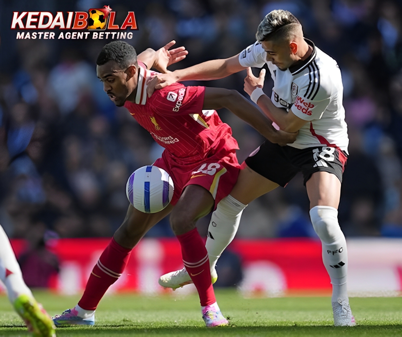 Ryan Gravenberch Pemain Muda Terbaik Premier League 2024/2025, Bintang Liverpool Bersinar!